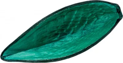 Produktbild von Canoinha türkis 10-15cm