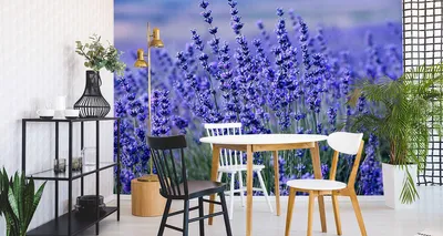 Immagine prodotto di Carta da parati in tessuto non tessuto murale bella lavanda fiori natura 405 cm (L) x 270 cm (H) decorazione murale della parete