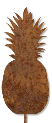 Produktbild von Edelrost Ananas mit Stecker