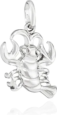Produktbild von NKlaus Kettenanhänger Krebs Sternzeichen 925 Silber hochglanz 15x11mm Horoskop Zodiak 13635