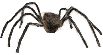Produktbild von Guirca Spinne 75 Cm    One Size