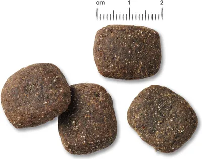 Produktbild von Belcando Adult Power 2 x 12,5 kg