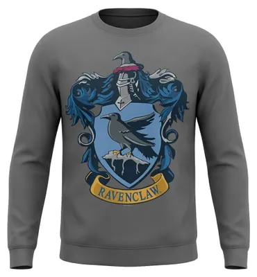 Produktbild von Harry Potter - Sweatshirt für Herren/Damen Uni, Used-Look TV36247 (S) (Holzkohle)