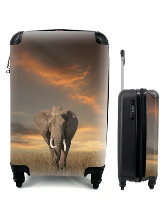 Produktbild von MuchoWow® Koffer Handgepäck Trolley Rollkoffer Kleine Reisekoffer mit 4 Rollen - Elefant - Tiere - Gras - Natur - Cabin Size < 55x40x23 cm & 55x40x20 cm - Fotokoffer - Kabinenkoffer - Boardgepäck - Reise-Box - Reisekoffer - Reisegepäck - Koffer mit Bild - Trolley für Kinder