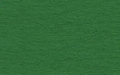 Immagine prodotto di Cartoncino fotografico 300g/mq A4 PU=50 fogli verde scuro