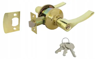 Immagine prodotto di Maniglia per porta con serratura, per porte d'ingresso, lato destro, finitura dorata