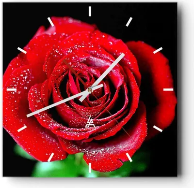 Produktbild von Wanduhr - Quadrat - Glasuhr - Rose Blume Blütenblätter Wasser - 40x40cm - Schleichendes Uhrwerk - Lautlos - zum Aufhängen bereit - Dekoration Modern - Wanddekoration aus Glas - C3AC40x40-0370