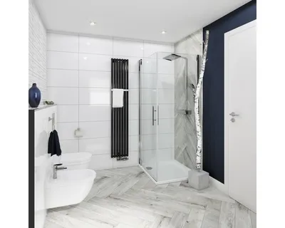 Produktbild von Hansgrohe Raindance E