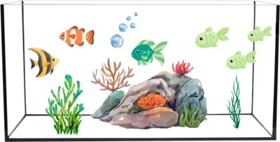 Produktbild von Aquarium Becken Rechteckig Glas Aquariumbecken Salzwasseraquarium Glasbecken Glasaquarium 112 L Aufzuchtbecken 80x35x40 cm 80