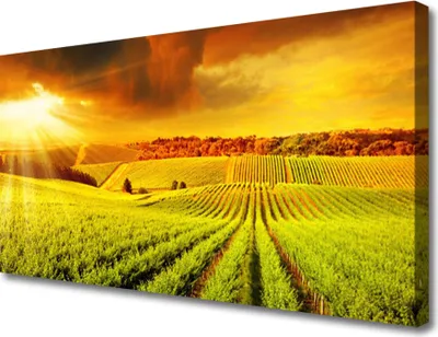 Produktbild von Tulup Leinwand-Bilder 100x50 Wandbild Canvas Kunstdruck Sonnenuntergang Landschaft