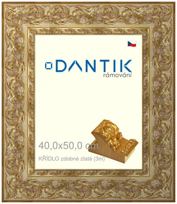 Obrázek produktu pro DANTIK rámeček 40x50 | KŘÍDLO zdobné zlaté (Sklo Čiré)