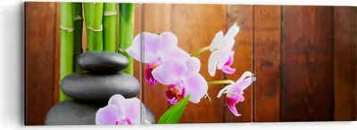 Produktbild von Bild auf Leinwand - Leinwandbild - Bambus Dekoration Blume Orchidee - 90x30cm - Wand Bild - Wanddeko - Leinwanddruck - Bilder - Kunstdruck - Wanddekoration - Leinwand bilder - Wandkunst - CA90x30-2167