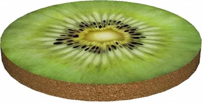 Produktbild von Bertoni RING Stuhlkissen 4x40cm KIWI