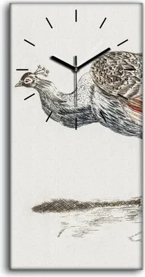 Produktbild von Leinwand Wanduhr Wandkunst Uhr Geräuschlos 30x60 Gemälde Tier Vogel Pfau Kunst - schwarze Hände