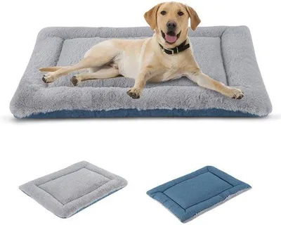 Produktbild von Washbare Hundematte, Weich und Warm, Grau und Blau, 60x45cm