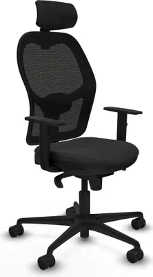 Image de Bürostuhl Piqueras y Crespo 1D036N2 Schwarz