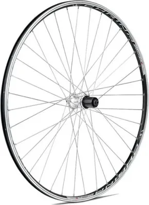 Produktbild von Gurpil Chrina 8s Rennrad-hinterrad Schwarz 9 x 130 mm / Shimano/Sram HG Schwarz 9 x 130 mm