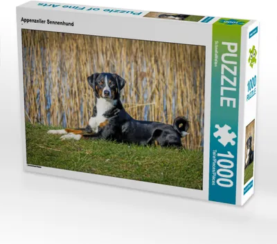 Produktbild von CALVENDO Puzzle Appenzeller Sennenhund | 1000 Teile Lege-Größe 64x48cm Foto-Puzzle für glückliche Stunden
