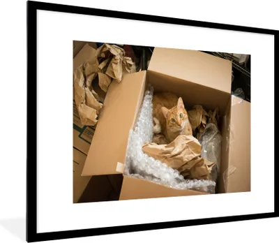 Produktbild von MuchoWow® MuchoWow® Gerahmtes Poster Katze - Box - Rot 80x60 cm - Poster mit zchwarzem Bilderrahmen - Schlafzimmer-Dekorationen - Fotoposter