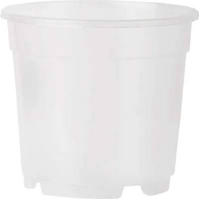 Produktbild von Kontejner orchideje - 19 cm, 3,5 l čirý