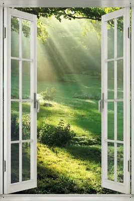 Produktbild von Wallario Outdoor-Poster für Garten oder Balkon 61 x 91,50 cm: Sonnenstrahlen im Wald