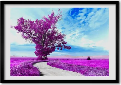 Produktbild von Bild - Bilder - Bilderrahmen - 70 cm x 50 cm - MDF-Rahmen, Wandkunst Baum und Weg