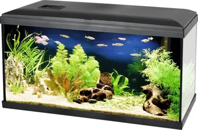 Obrázek produktu pro Akvarijní set Cat-gato Pacific 54 l