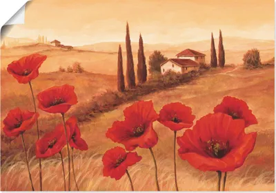 Produktbild von ARTland Poster Mohnblumen in der Toskana Größe: 70x50 cm
