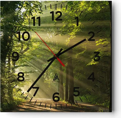 Produktbild von Wanduhr - Quadrat - Glasuhr - Wald Baum Natur - 30x30cm - Schleichendes Uhrwerk - Lautlos - zum Aufhängen bereit - Dekoration Modern - Wanddekoration aus Glas - C4AC30x30-3661