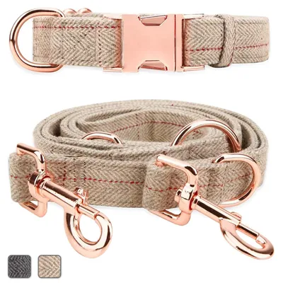 Produktbild von Elzusha – s Hundehalsband und Leine-Set, Beige, Verstellbar