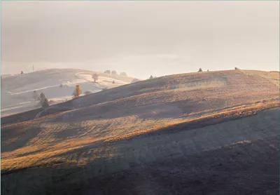 Produktbild von Wallario Fototapete Vliestapete, seidenmatte Oberfläche, einfache Verarbeitung, Größe 300 x 210 cm, Motiv Herbstliche Felder bei Sonnenaufgang