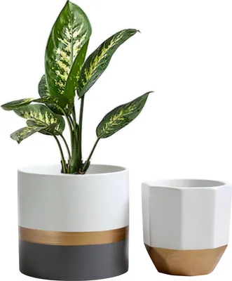 Zdjęcie produktu dla Salih Zestaw 2 ceramicznych doniczek na rośliny - do wnętrz i na zewnątrz - szare i złote - ceramiczne - stylowe i trwałe