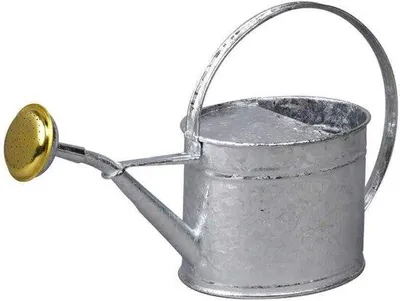 Produktbild von Famanu Gießkanne - Grau - für die Gartenpflege