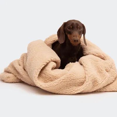 Produktbild von Teddy Hundeschlafsack beige – Hundehöhle weich & warm