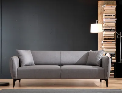 Produktbild von Hanah Home, Belissimo- ARE1360, Grau, Schlafsofas, Rahmen: Buchenholz / Spanplatte