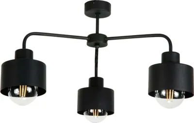 Obrázok produktu pre Priemyselné stropné svietidlo Loft, čierne, HIGS 14-202