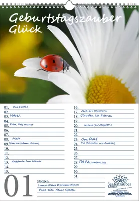 Produktbild von Geburtstagsplaner Geburtstagskalender Glück Marienkäfer DIN A3 Kalender - Seelenzauber
