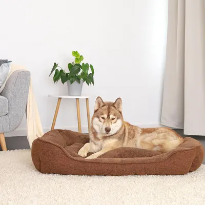 Produktbild von lionto Hundesofa, modernes Hundebett mit rutschfester Unterseite, abnehmbarem Bezug & Plüsch-Innenmaterial, 110x80 cm, braun
