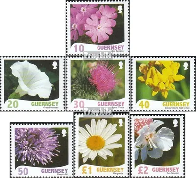Produktbild von Briefmarken GB - Guernsey 2008 Mi 1172-1178 (kompl.Ausg.) postfrisch Flora