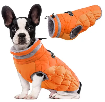 Produktbild von Hundemantel Winter Winddicht Geschirr Reflektierend Orange M