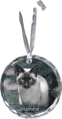 Produktbild von Siam - Kristallkugel mit Foto, Katzenfoto im Kristall, personalisierter Weihnachtsbaumanhänger von Art-Dog.