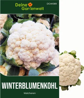 Produktbild von Winterblumenkohl Walcheren Samen - Brassica oleracea botrytis - Winterblumenkohlsamen - Gemüsesamen - Saatgut für 80 Pflanzen