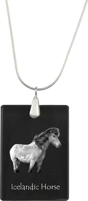 Zdjęcie produktu dla Islandzki koń - Wiszący amulet z motywem konia, srebrny naszyjnik z możliwością umieszczenia zdjęcia, personalizowany amulet marki Art-Dog