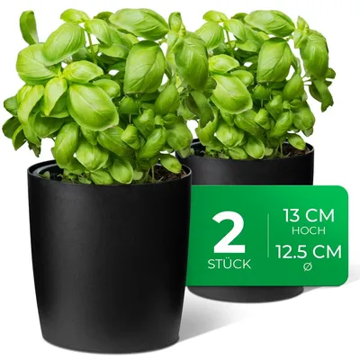 Produktbild von Novaliv Stilvolle 2er Set Kräutertopf aus Kunststoff Schwarz für jede Fensterbank, frische Küchenkräuter, Kräutergarten für die küche, Kräuterbeet indoor, Zimmerpflanzen, Pflanzentopf, Pflanzschale