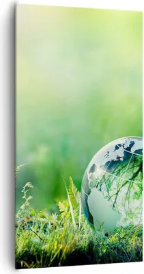 Produktbild von Bild auf Leinwand - Leinwandbild - natur natur - 65x120cm - Wand Bild - Wanddeko - Wandbilder - Leinwanddruck - Bilder - Kunstdruck - Wanddekoration - Leinwand bilder - Wandkunst - PA65x120-4041