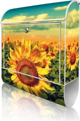 Produktbild von banjado Design Briefkasten Stahl weiß mit Zeitungsfach pulverbeschichtet "Sonnenblumen" 38x46x12,5cm & 2 Schlüssel - Postkasten A4 Einwurf inkl. Montagematerial [BKW 10886]