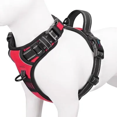 Produktbild von Famanu Hundegeschirr für große Rassen - verstellbar, reflektierend, mit Handgriff - rot - Größe M