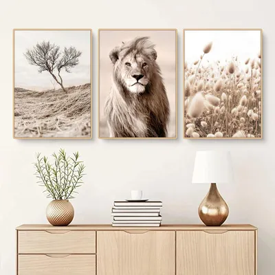 3er-Poster-Set Löwe Natur Ästhetik 21x30 cm ohne Rahmen