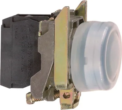 Immagine prodotto di Pulsante Schneider Electric XB4BP21