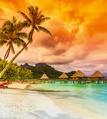 Produktbild von Fototapete - Polynesia 225x250cm - Vliestapete